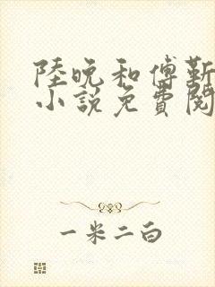 陆晚和傅靳洲的小说免费阅读