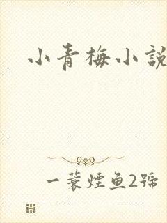 小青梅小说封面