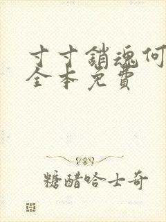 寸寸销魂何生祥全本免费