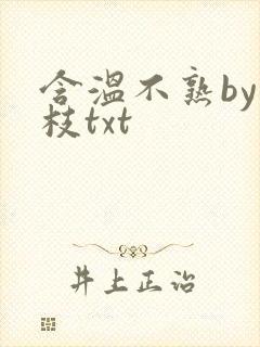 含温不熟by词枝txt
