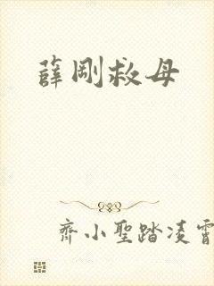 薛刚救母
