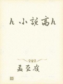 h 小说高h