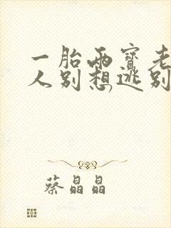 一胎两宝老婆大人别想逃别想