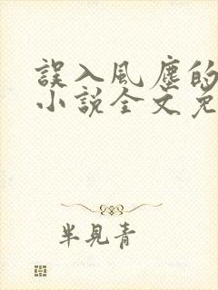 误入风尘的爱情小说全文免费阅读