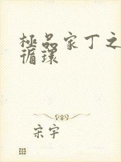 极品家丁之因果循环
