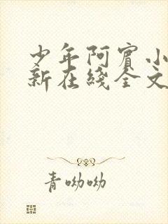 少年阿宾小说最新在线全文阅读