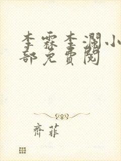 李霖李澜小说全部免费阅