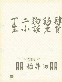 丁二狗的肆意人生小说免费听
