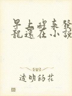 早上醒来发现巨龙还在小说