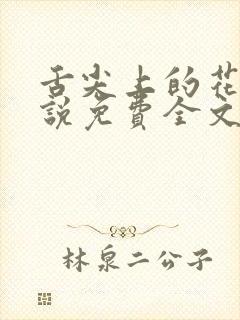 舌尖上的花心小说免费全文阅读