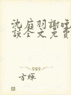 沈庭羽谢晚晚小说全文免费阅读