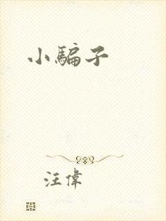小骗子