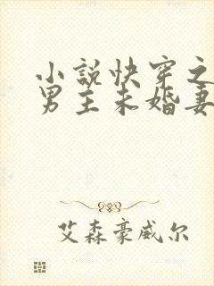 小说快穿之我是男主未婚妻txt下载封面