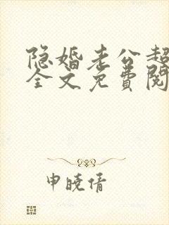 隐婚老公超给力全文免费阅读封面