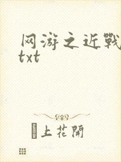 网游之近战法师txt封面