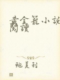 黄金笼小说免费阅读封面