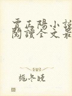 贾正阳小说免费阅读全文最新章节封面