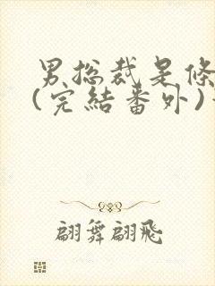 男总裁是条骚狗(完结番外)笔趣阁小说
