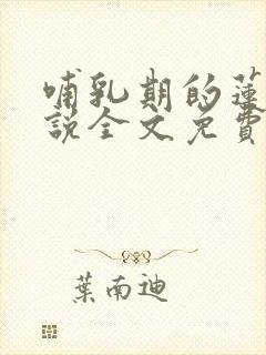 哺乳期的莲儿小说全文免费阅读