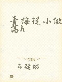 青梅从小做到大高h
