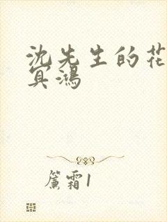 沈先生的花式调冥鸿