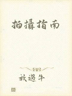 拍摄指南
