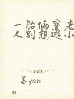一胎俩宝老婆大人别想逃小说封面