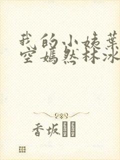 我的小姨叶凡司空嫣然林冰