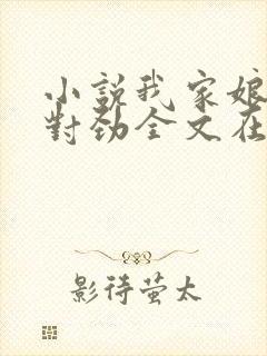 小说我家娘子不对劲全文在线阅读