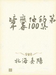 暗恋他的第十一年春100集