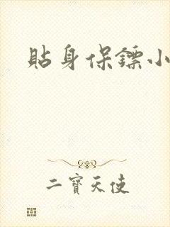 贴身保镖小说封面