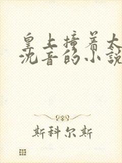 皇上撞着太子妃沈音的小说叫什么