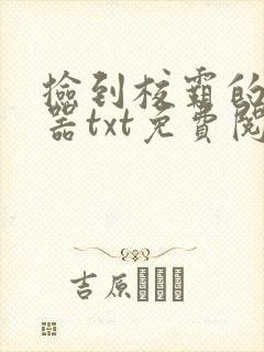 捡到校霸的遥控器txt免费阅读by阳阳