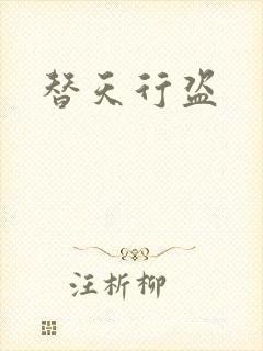 替天行盗