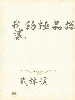 我的极品总裁老婆.