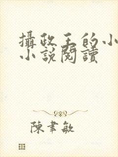 摄政王的小闲妻小说阅读