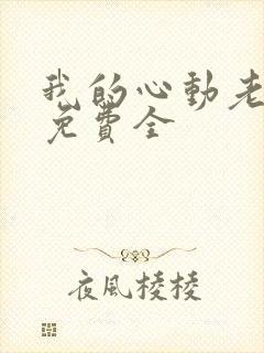 我的心动老板娘免费全封面