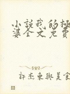 小说我的极品老婆全文免费阅读封面
