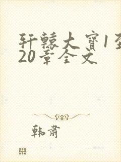 轩辕大宝1至720章全文封面