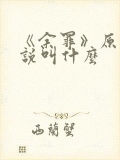 《余罪》原著小说叫什么