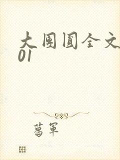 大团圆全文阅读01