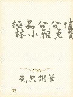 极品公公俏媳妇 林小雅免费阅读全文