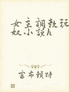 女主调教玩弄男奴小说h