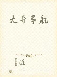 大哥导航