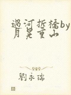 过河拆桥by江月晃重山封面