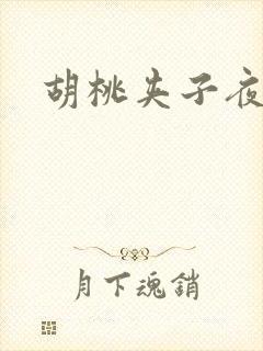 胡桃夹子夜未眠封面