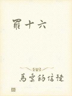 罗十六封面