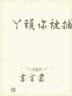 丫头你被捕了