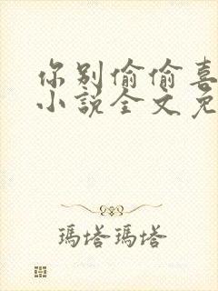 你别偷偷喜欢我小说全文免费阅读封面