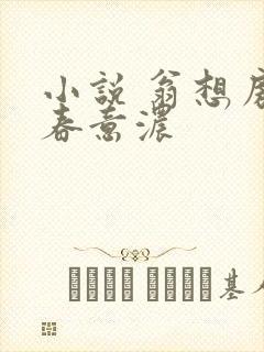 小说 翁想房中春意浓